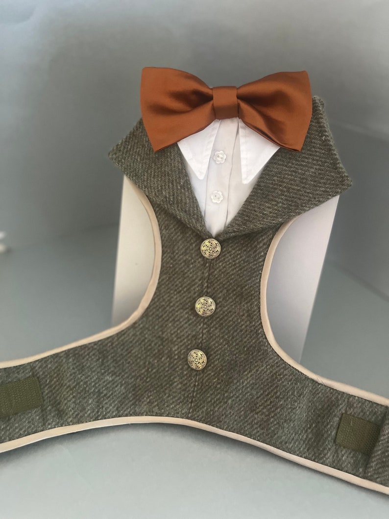 Tweed dog tuxedo suit, Special day attire, Suit Harness best dogs, Special Occasion Wear-Made to Order for your dog, ring bearer tux image 7