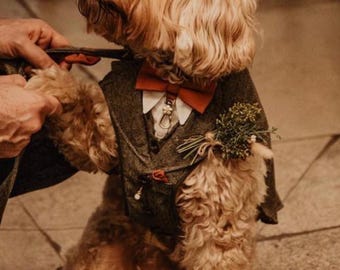 ADD ON Dog Ring Bearer Clasp, Ring Bearer ribbons for harness