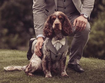 Abbigliamento per cani su misura per il tuo giorno speciale del matrimonio e per le occasioni speciali: mostre canine, compleanni, feste, giorni speciali, su misura