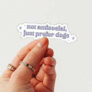 Not Antisoziale, lieber nur Hunde Aufkleber, Hundeliebhaber, Trendy, Girly, Haustier, Wasserflasche Aufkleber, Laptop Aufkleber, Niedlicher Aufkleber, Aufkleber, Geschenk