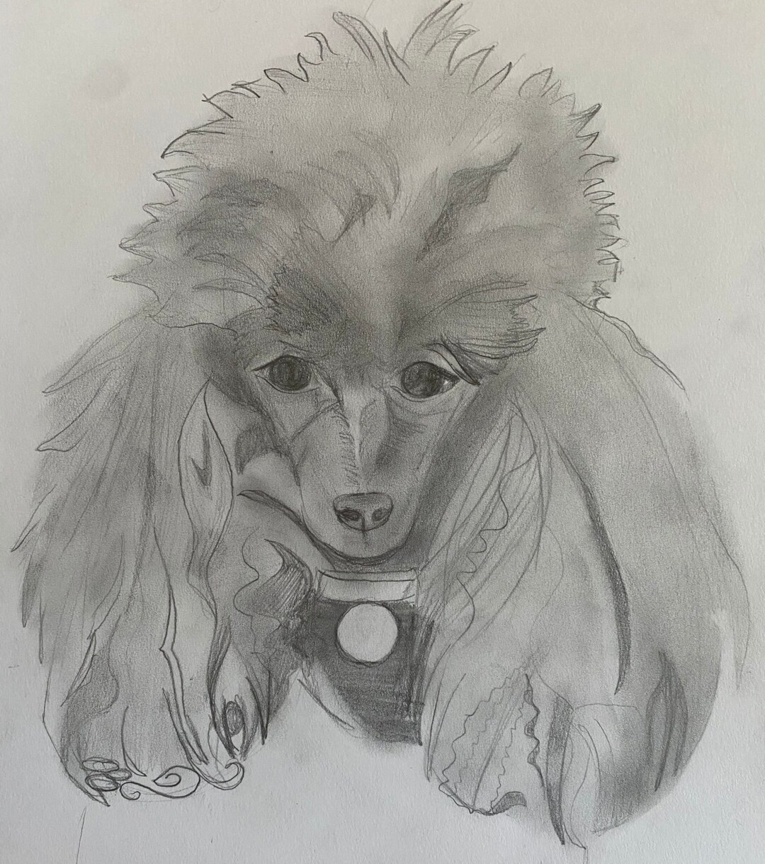 Pet Portrait Custom Graphite Pet Loss Gift Dog Portrait Etsy
