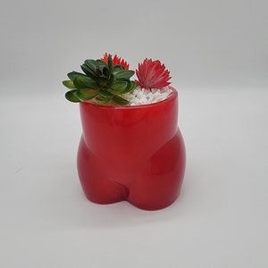 Vaso bottino rosso rubino