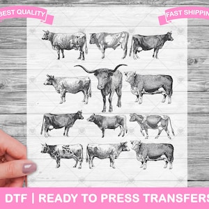Highland Cows Tattoo Illustration DTF Transfers, DTF Prints, Ready To Press Shirt Transfers, Highland Cows, Farm Life, Kids Iron On Transfer