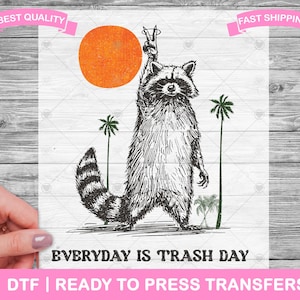 Funny Sarcastic Everyday Is Trash Day DTF Transfers, DTF Prints, Ready To Press Shirt Transfers, Raccoon DTF, Iron On Transfer