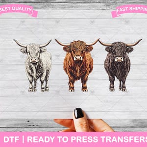 Highland Cows DTF Transfers, Farm Lover Cow Lover DTF Prints, Ready To Press Shirt Transfers, DTF, Heat Transfers, Iron On Transfer