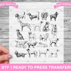 Mixed Breed Vintage Dogs Tattoo Style DTF Transfers, DTF Prints, Ready To Press Shirt Transfers, DTF, Heat Transfers, Iron On Transfer