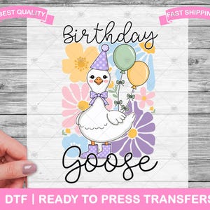 Birthday Goose Silly Goose DTF Transfers, Prints, Ready To Press Shirt Transfers, Funny Silly Goose Transfers, Iron On Transfer, Shirt DTF