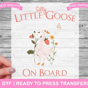 Baby Announcement DTF Transfers, DTF Prints, Ready To Press, Shirt Transfers Ready For Press, T-Shirt Transfers, Silly Little Goose Print,D1