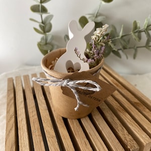 Osterhase - Raysin Osterdeko - Kleines Ostergeschenk - Tischdeko Ostern - Trockenblumen - Scandistyle - Ostereier Deko - Geschenk Erzieher