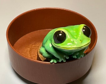 Realistic Black Eyed Tree Frog Friend Deskpal