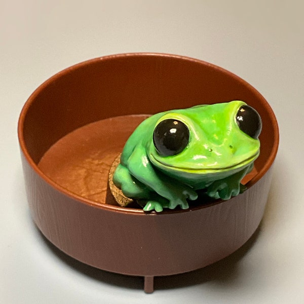 Realistic Black Eyed Tree Frog Friend Deskpal