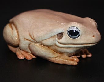 Realistic Dumpy Tree Frog Large Size Sculpture