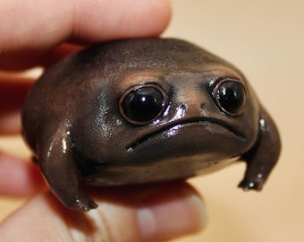 Sad Avocado Realistic Black Rain Frog Friend Deskpal