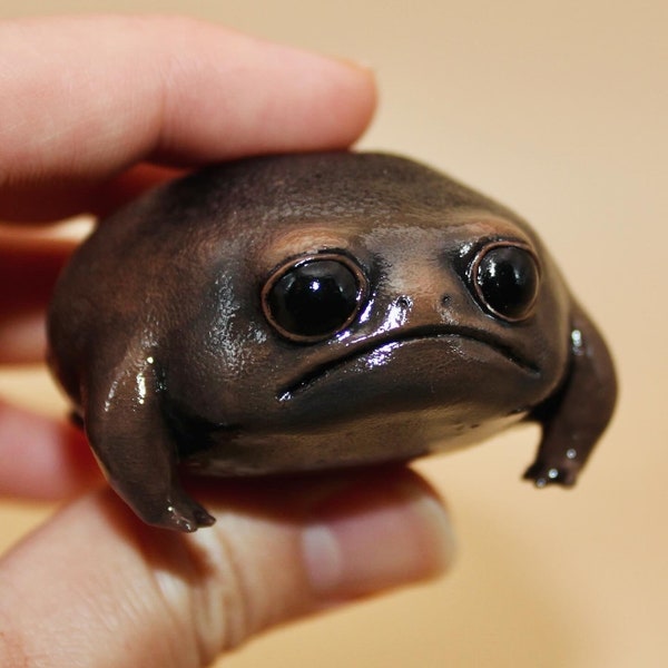 Sad Avocado Realistic Black Rain Frog Friend Deskpal