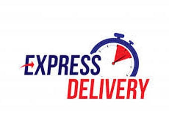 Express Delivery - DHL \ USPS \ UPS \ FedEx Express - Custom Order - Customize Order - Express Delivery And Processing