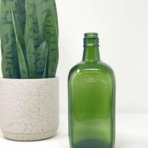 May include: A green glass bottle with a rectangular body and rounded shoulders. The bottle is empty and has a short neck. A potted snake plant is in the background.