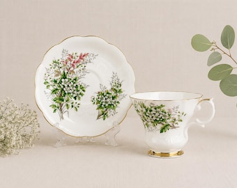 Vintage Royal Albert Bone China Teacup & Saucer | Friendship Series – Hawthorn | England