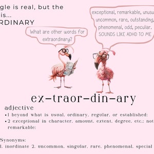 May include: Two pink flamingos wearing glasses, one holding a newspaper, with the word "extraordinary" written in large letters and defined as an adjective. The text also includes synonyms for the word.