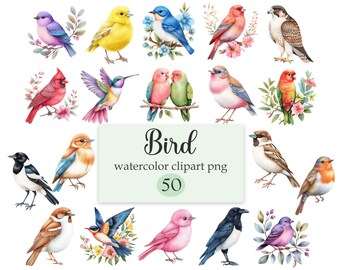 Bird Clipart, Watercolor Bird PNG, Digital Download