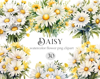 Daisy PNG, Watercolor Daisy Clipart Bundle, Daisy Flower Bouquet, Spring Floral, Digital Download