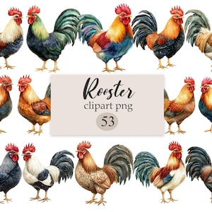 Rooster Clipart, Watercolor Chicken PNG, Digital Download