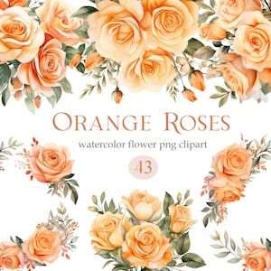 Orange Rose PNG Clipart, Watercolor Orange Rose Clipart Bundle, Rose Bouquet Wreath, Digital Download, Spring Floral Clipart