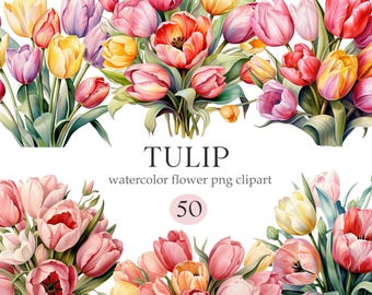 Tulip Clipart, Watercolor Tulip PNG, Spring Floral, Digital Download, Flower Sublimation