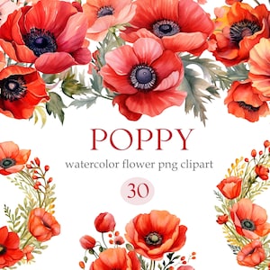 Poppy PNG, Watercolor Poppy Clipart, Flower Bouquet, Wreath, Digital Download