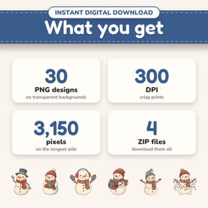 What's included: 30 transparent PNG files at 300 DPI, delivered as a ZIP download