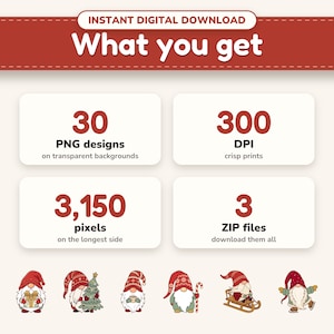 What's included: 30 transparent PNG files at 300 DPI, delivered as a ZIP download