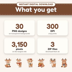 What's included: 30 transparent PNG files at 300 DPI, delivered as a ZIP download
