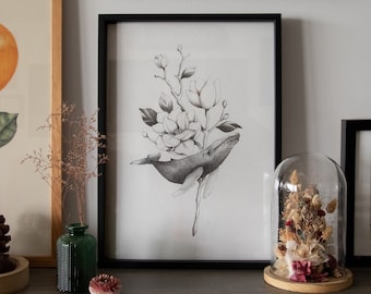 Baleine & Magnolia // Affiche illustration