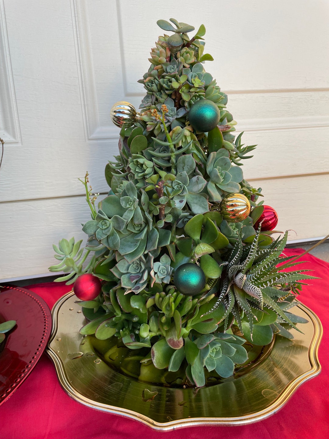 Succulent Christmas Trees Etsy Australia