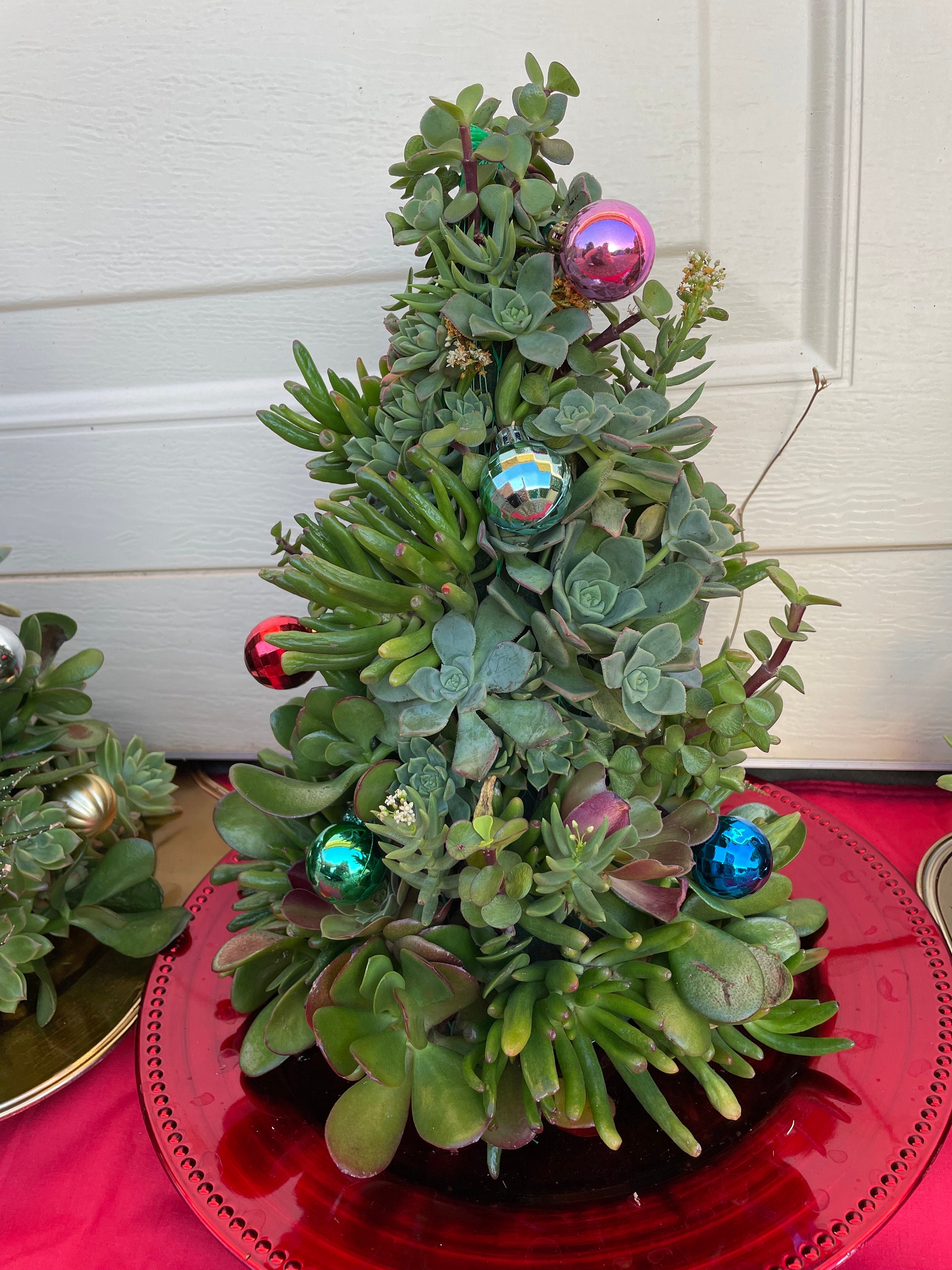 Succulent Christmas Trees Etsy Australia
