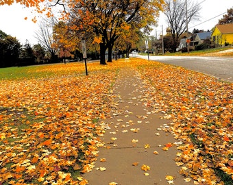 Fall