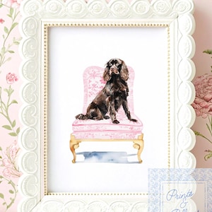 Boykin  Spaniel Art Print, Chinoiserie Dog, Grand Millennial, Dog Mom Gift, Boykin Spaniel Lover Art, Dog Nursery, Dog In Chair