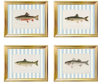 Set of 4 Vintage Fish Prints, Southern Classic Art, Trout Vintage Art, Boy Nursery Art, Vintage Hunting Prints