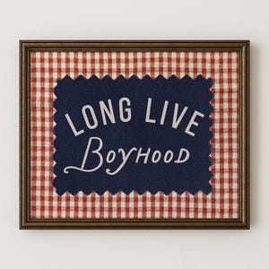 May include: Framed artwork with a navy blue fabric patch featuring the words "LONG LIVE BoyHOOD" in white script. The patch is set against a red and white checkered background, all within a brown frame.