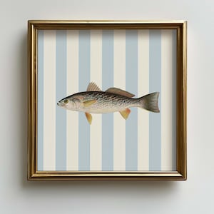 Vintage Fish Illustration Art Print: Nautical Beach House Decor (Digital Download)