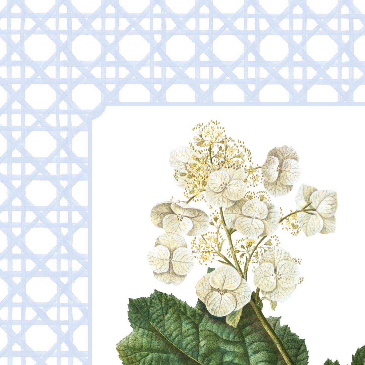 Hydrangea Botanical Art Print Set, Blue Floral Wall Art, Vintage Flower ...