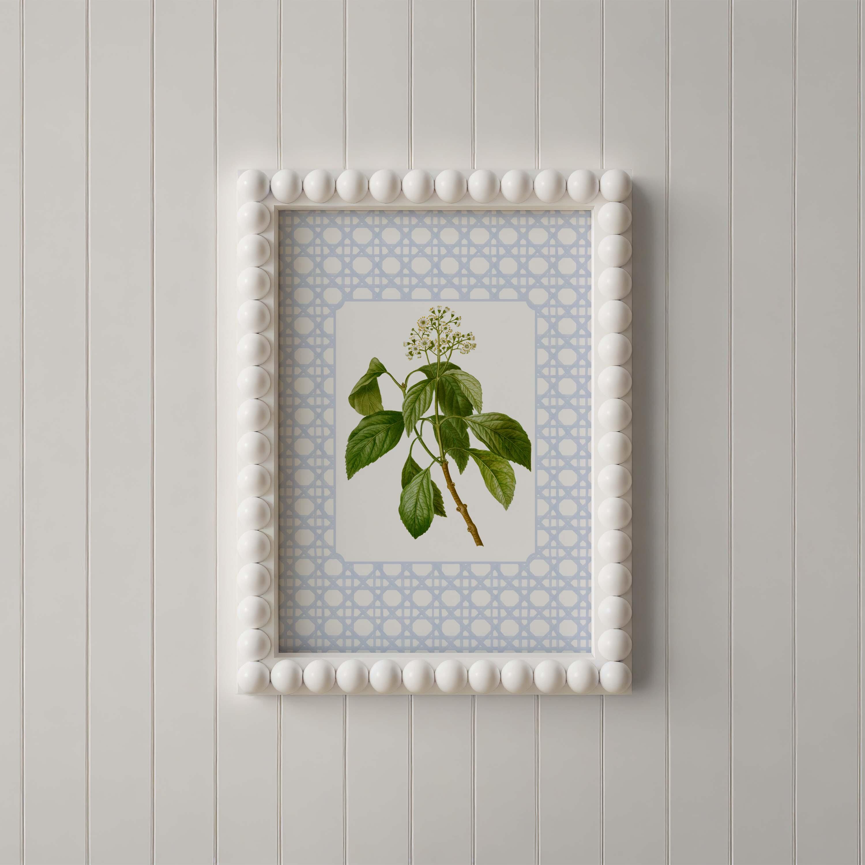 Hydrangea Botanical Art Print Set, Blue Floral Wall Art, Vintage Flower ...