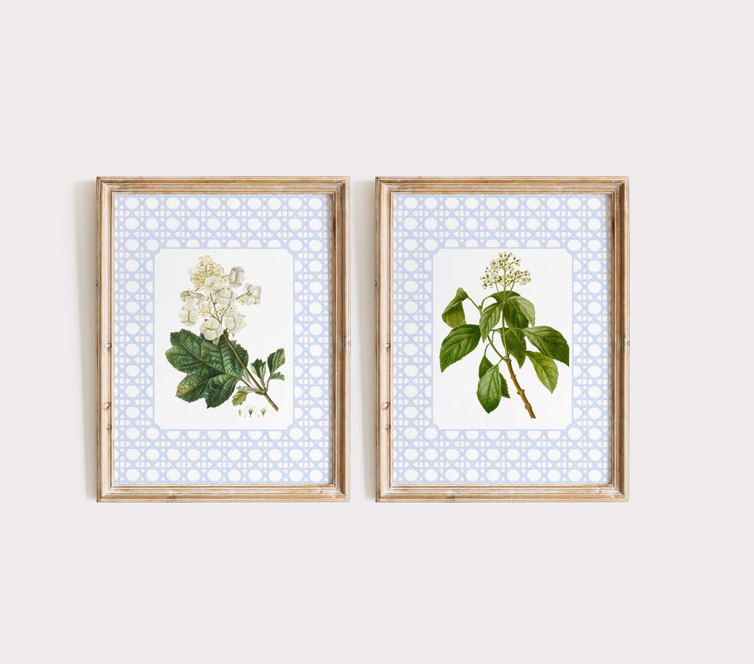 Hydrangea Botanical Art Print Set, Blue Floral Wall Art, Vintage Flower ...