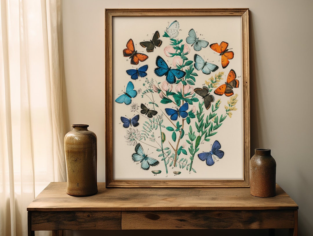 Vintage Butterfly Botanical Print, Antique Field Prints, Retro Wall Art ...