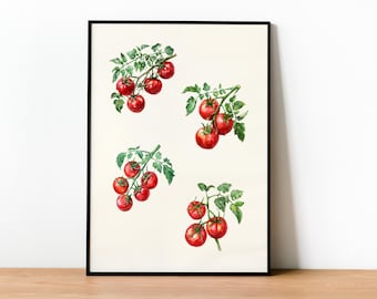 Lots of Tomatoes Wall Art, Lots of Tomatoes Print, Tomato Bunch Poster, Tomato Wall Art Print, Tomato Print, Food Art Print, Kitchen Art