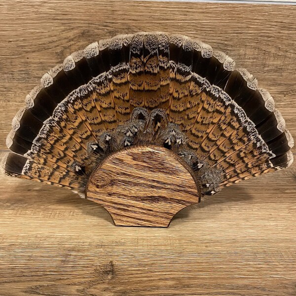 Grouse Tail Fan Plaque