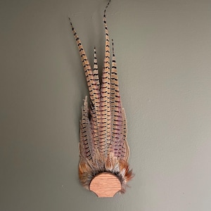 Pheasant Tail Fan Plaque