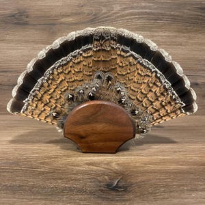 Grouse Tail Fan Plaque, Walnut