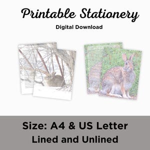 Conjunto de papelaria Rabbit – Papel de carta inspirado na natureza – Papel pautado e sem pauta para impressão – Tamanhos carta e A4
