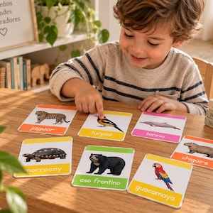 May include: A set of educational flashcards featuring illustrations of animals including a jaguar, turpial, tonina, morrocoy, oso frontino, chiguire, and guacamaya. Each card displays a colorful border and the animal name in lowercase text.