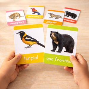 May include: Educational flashcards featuring animal illustrations. The cards display a variety of animals, including a jaguar, bear, and bird, with their names printed in Spanish. The cards are held by a person.